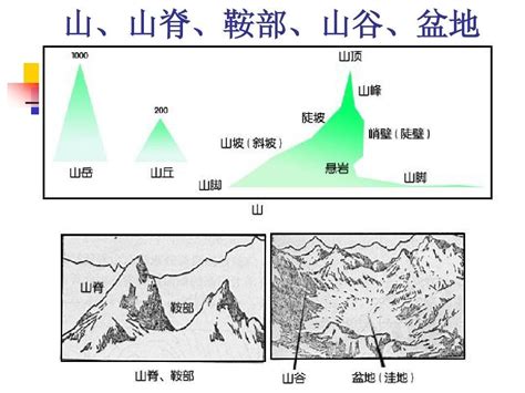 山谷的意思